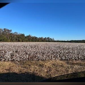 Meet your Posher, Lila Kakes